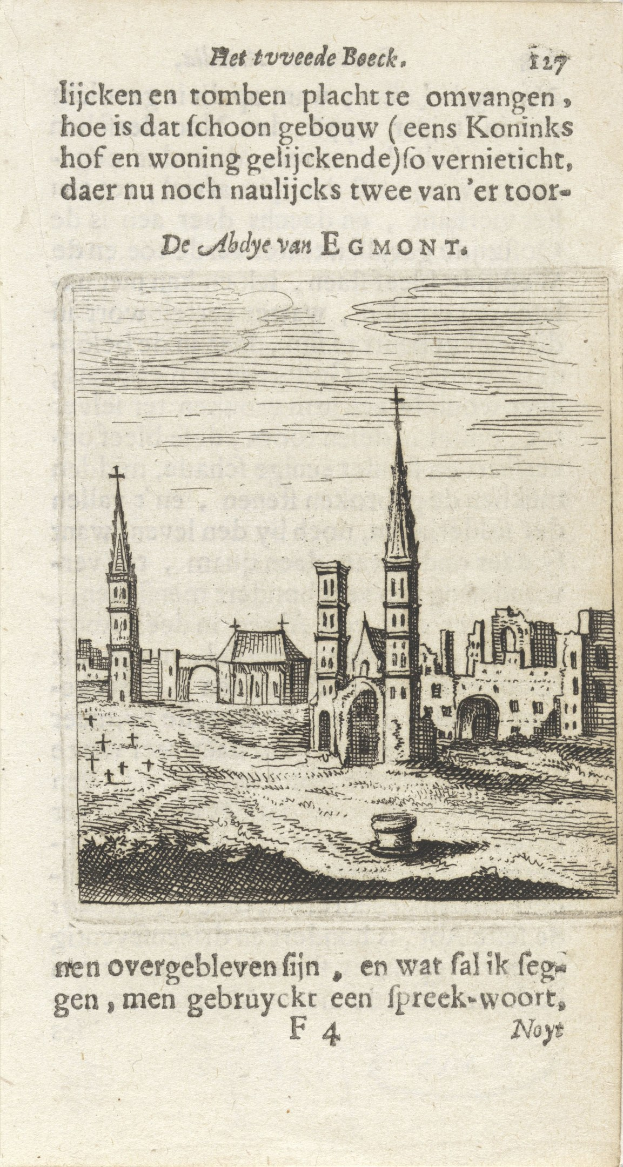 Eine detaillierte Abbildung einer alten Buchseite, die eine Stadtansicht mit Gebäuden und begleitendem Text zeigt.