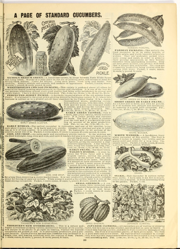 Ein aufgeschlagenes Buch mit verschiedenen Gemüsen, darunter Gurken, und entsprechenden Bildern und Text auf der Seite.