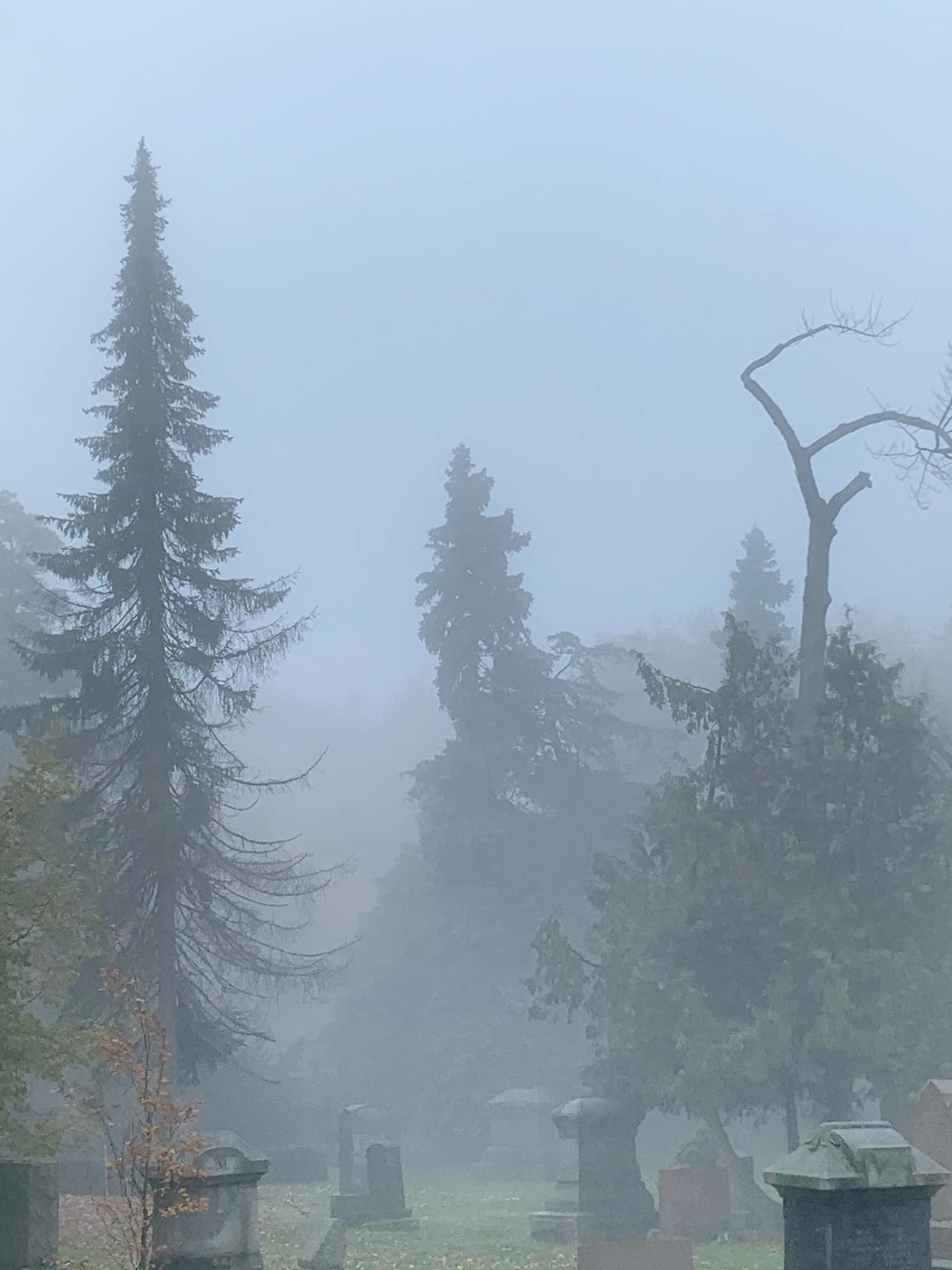 Nebeliger Friedhof mit verstreuten Grabsteinen und Bäumen im Hintergrund unter einem nebligen grauen Himmel.