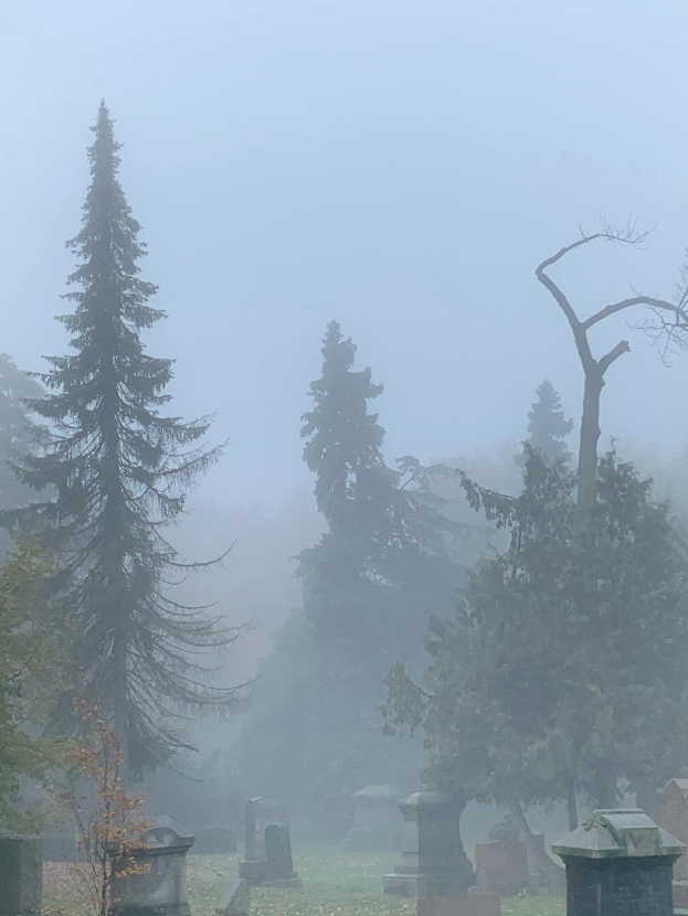 Nebeliger Friedhof mit verstreuten Grabsteinen und Bäumen im Hintergrund unter einem nebligen grauen Himmel.