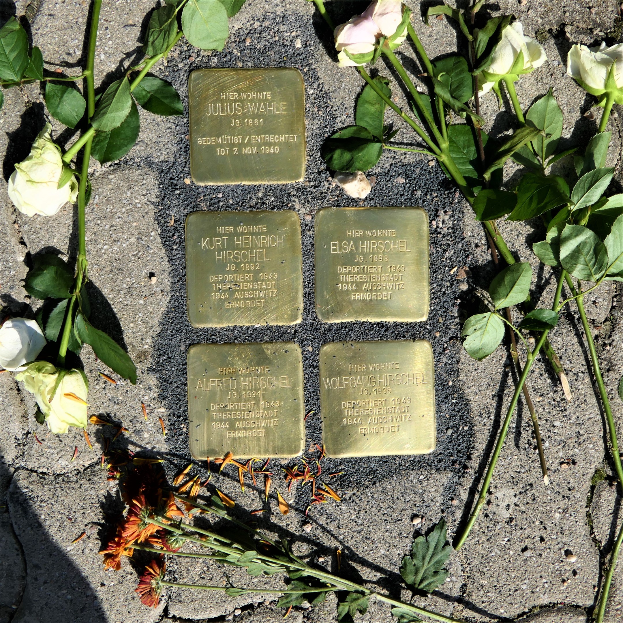 Vier Messingtafeln mit eingravierter Schrift auf dem Boden, umgeben von weißen Rosen mit Stielen und Blättern, möglicherweise Grabmale.