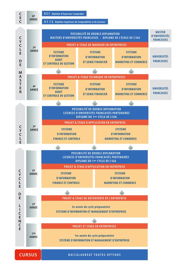 Diagramm, das die organisatorische Struktur eines Unternehmens mit Phasen des Unternehmenswachstums und der Entwicklung darstellt, wobei jede Phase durch verbundene Kästen mit beschreibendem Text dargestellt wird.