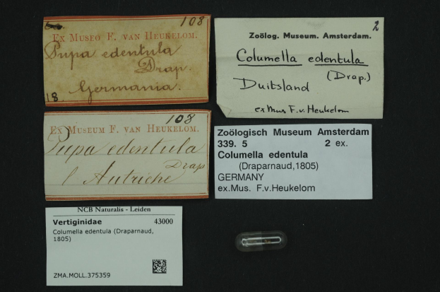 Eine Sammlung alter Visitenkarten mit Texten zum Thema Columella edentula Medizin und einem kleinen Barcode-Papier.