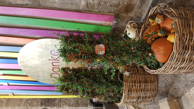 Ein Korb voller Kürbisse an der Seite eines Gebäudes, mit einer Pflanze im Vordergrund, einer bunten Wand im Hintergrund und einer Tafel mit Schrift darauf.