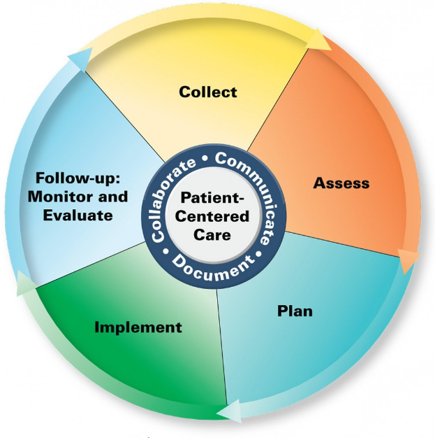 Ein Kreisdiagramm mit der Bezeichnung "patientenorientierte Pflege" und vier farbigen Abschnitten, jeweils mit einer spezifischen Pflegedienstleistung beschriftet.