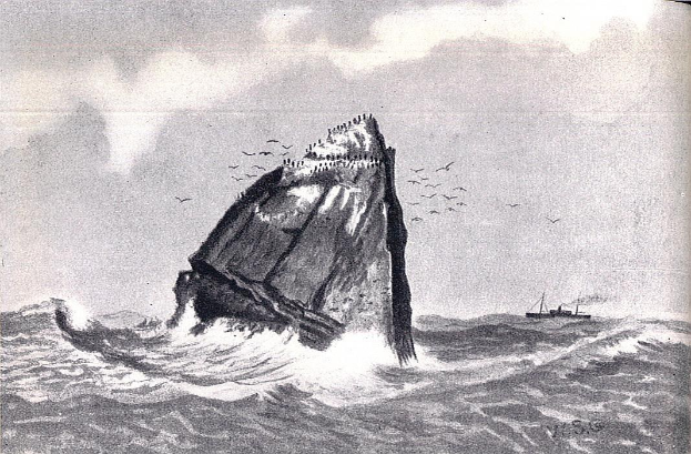 Schwarze und weiße Zeichnung eines Bootes auf dem Wasser mit einem Felsen in der Mitte, umgeben von Vögeln am Himmel und Text unten, der "Buckelwal" lautet.