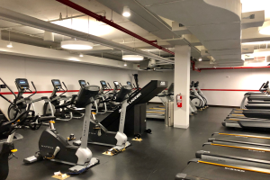 Ein Fitnessstudio-Innenraum mit einer Reihe von Laufbändern und Ellipsogertäten, einer Säule, einem Feuerlöscher an der Wand und Deckenleuchten, befindet sich in einem Fitnessstudio in New York City.