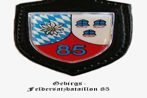 Ein runder Abzeichen mit der Nummer 85 und deutscher Text unten, das das Logo der bayerischen Fußballmannschaft darstellt.