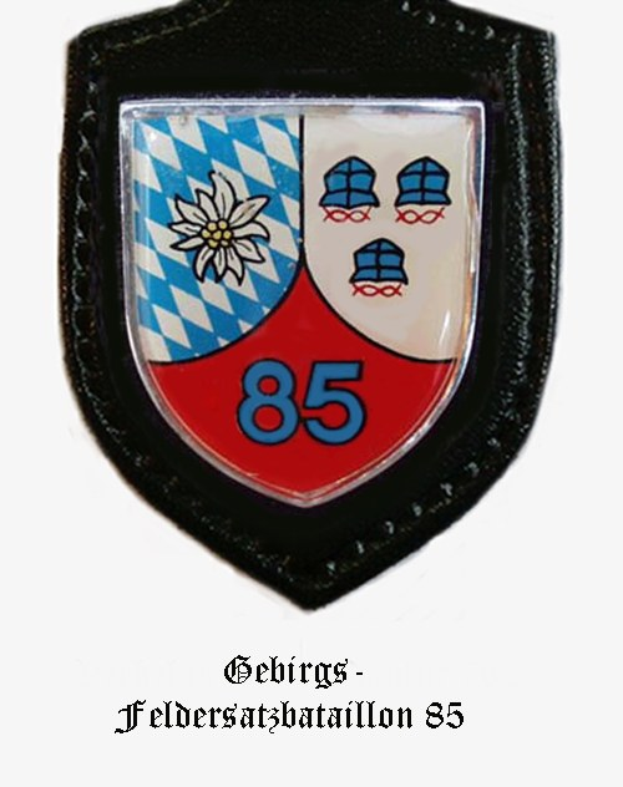 Ein runder Abzeichen mit der Nummer 85 und deutscher Text unten, das das Logo der bayerischen Fußballmannschaft darstellt.