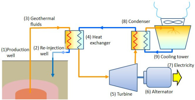 Diagramm eines Geothermiekraftwerks, das den Prozess der Geothermieenergie mit beschrifteten Komponenten auf einem weißen Hintergrund veranschaulicht.