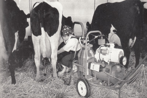 Ein Schwarz-Weiß-Foto einer Frau, die eine Kuh auf einem Hof melkt, umgeben von Gras und einem Wagen mit Rädern und einer Wand im Hintergrund.